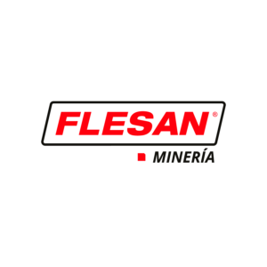FLESAN-Logo